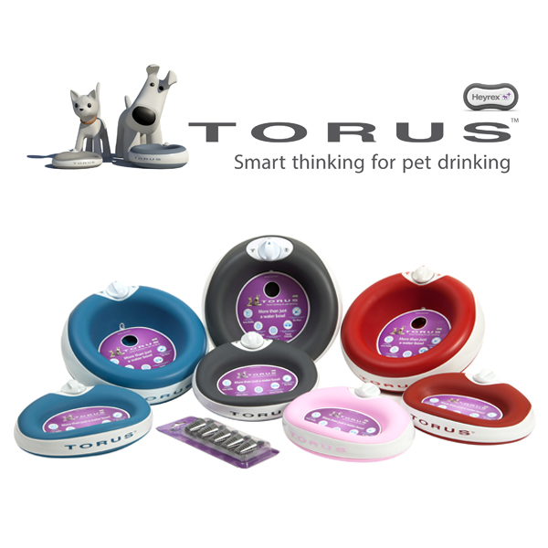 Introducing TORUS a Watering System and Portable Storage Bowl all in One Modern Cat